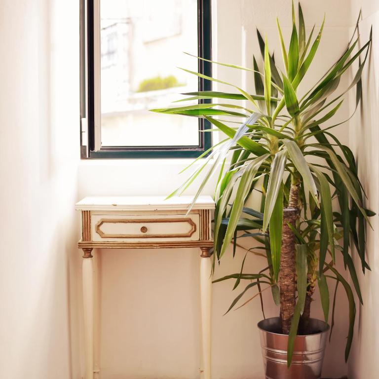 Story Casa de hóspedes Lisboa